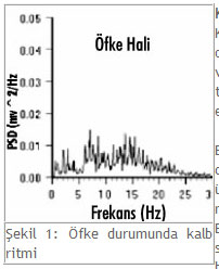 kalbinboyutu.jpg