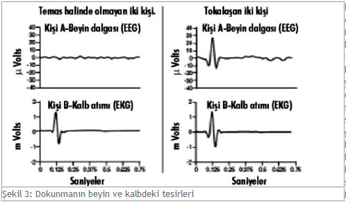 kalbinboyutu3.jpg