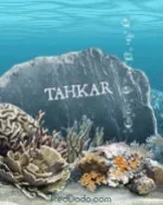 tahkar.webp
