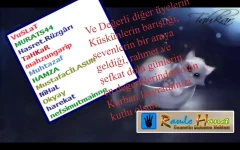 kedi resmi.webp