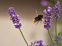 iqHgJ_1430989426_5035.webp