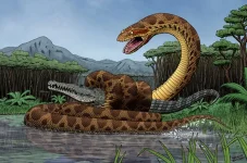 titanoboa.webp