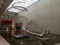 titanoboa1.webp