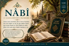 nabi-gazel-3-.webp