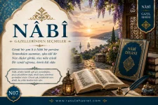 nabi-gazel-7-.webp