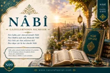 nabi-gazel-9-.webp