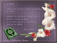 0_a878c_2da87002_XL.gif